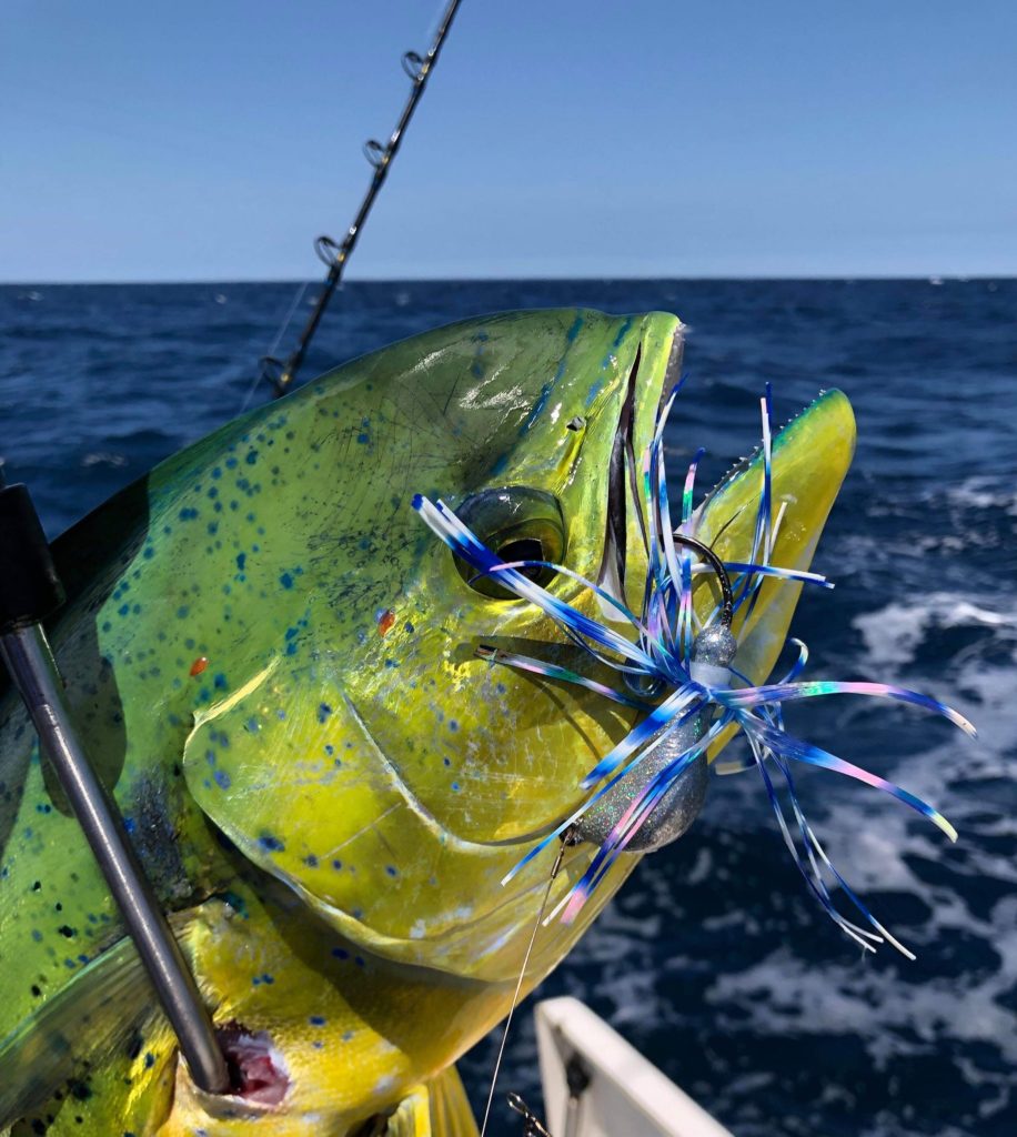 OFFSHORE JIGS - Saltwater Ammo Co.